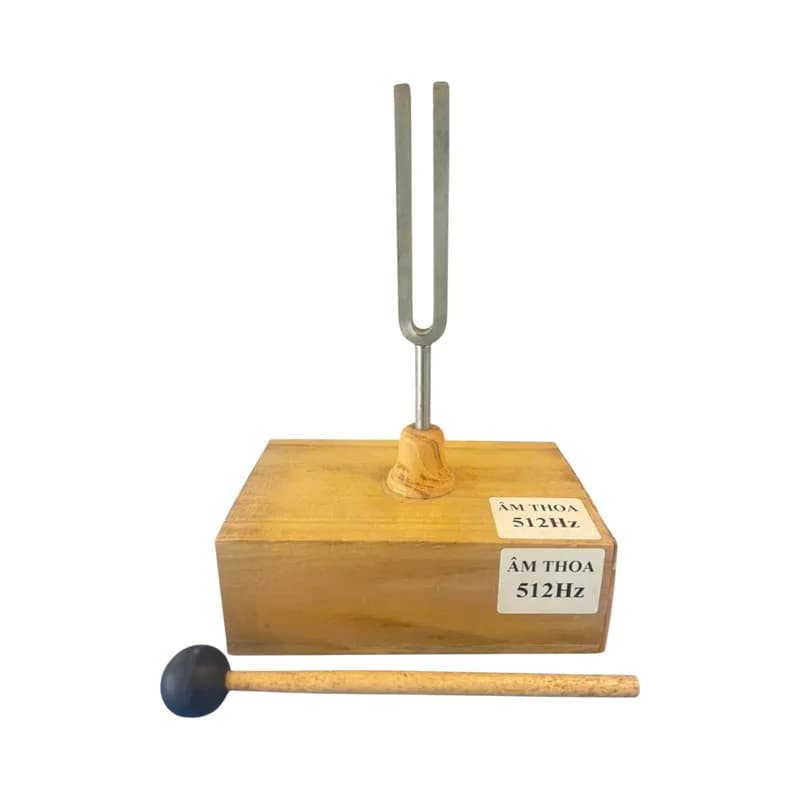 Âm thoa 512Hz kèm hộp cộng hưởng bằng gỗ và búa cao su gõ thí nghiệm